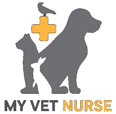 My Vet Nurse